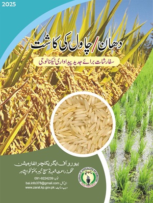 Rice Production Technology